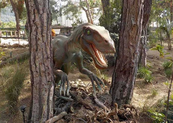 Kemer Dinopark - Dinopark Turu ile Geçmişe Yolculuk!