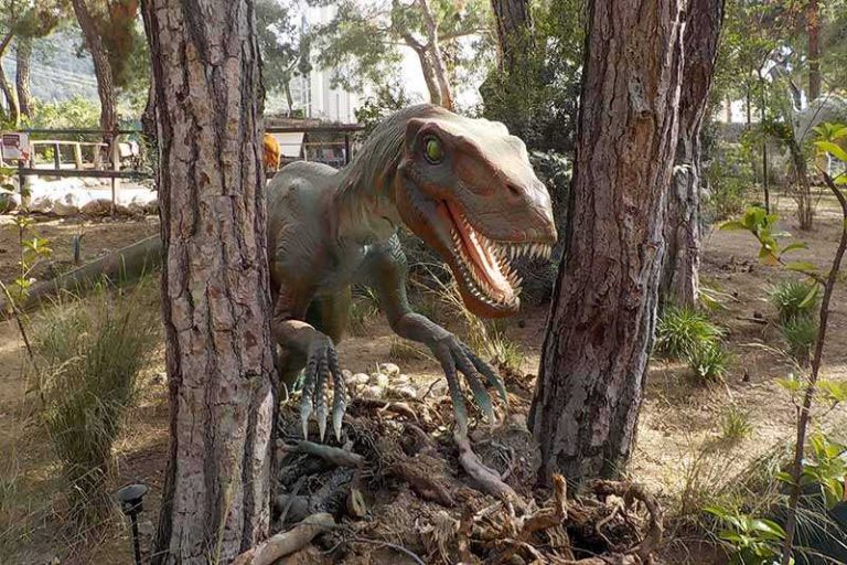 Kemer Dinopark - Dinopark Turu ile Geçmişe Yolculuk!